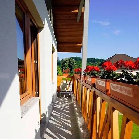 Guest house Pensiunea Magic 4*