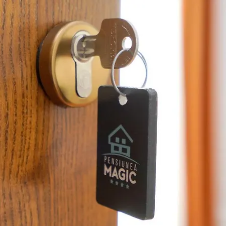 Guest house Pensiunea Magic 4*