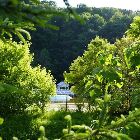 Pensiunea Magic Guest house 4*