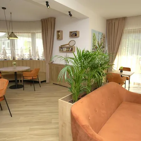 Pensiunea Magic Guest house 4*