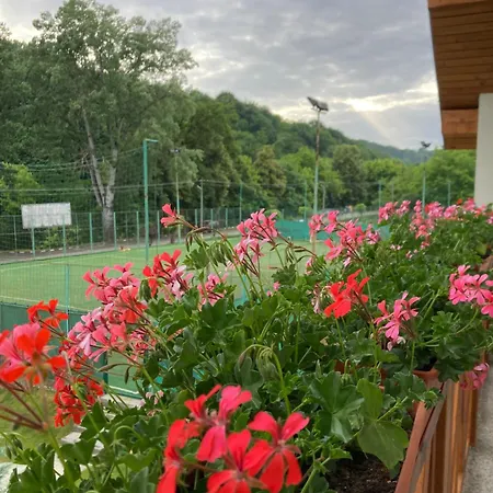 Pensiunea Magic Guest house Baile Govora