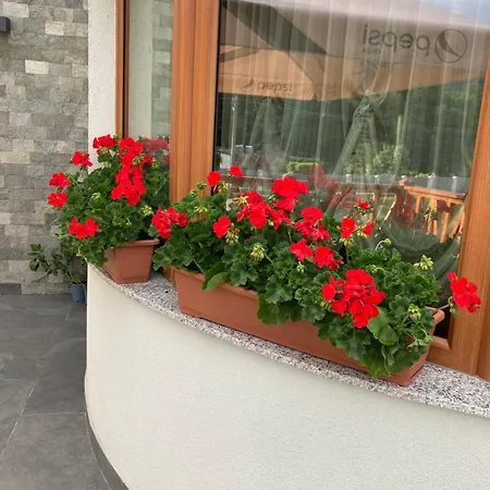 Pensiunea Magic Guest house