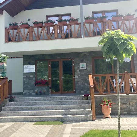 Guest house Pensiunea Magic